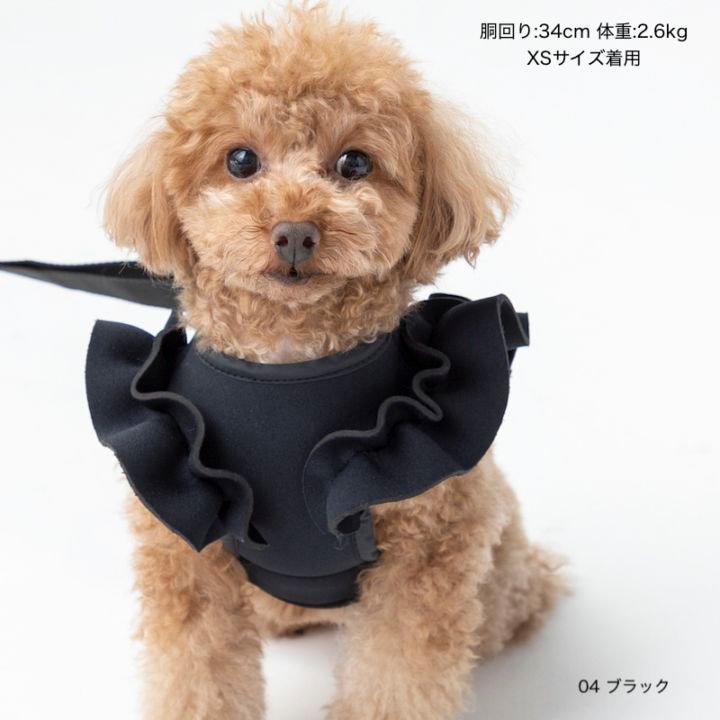ブルゾン　莉犬 000000000472_ls1VcMP.jpg