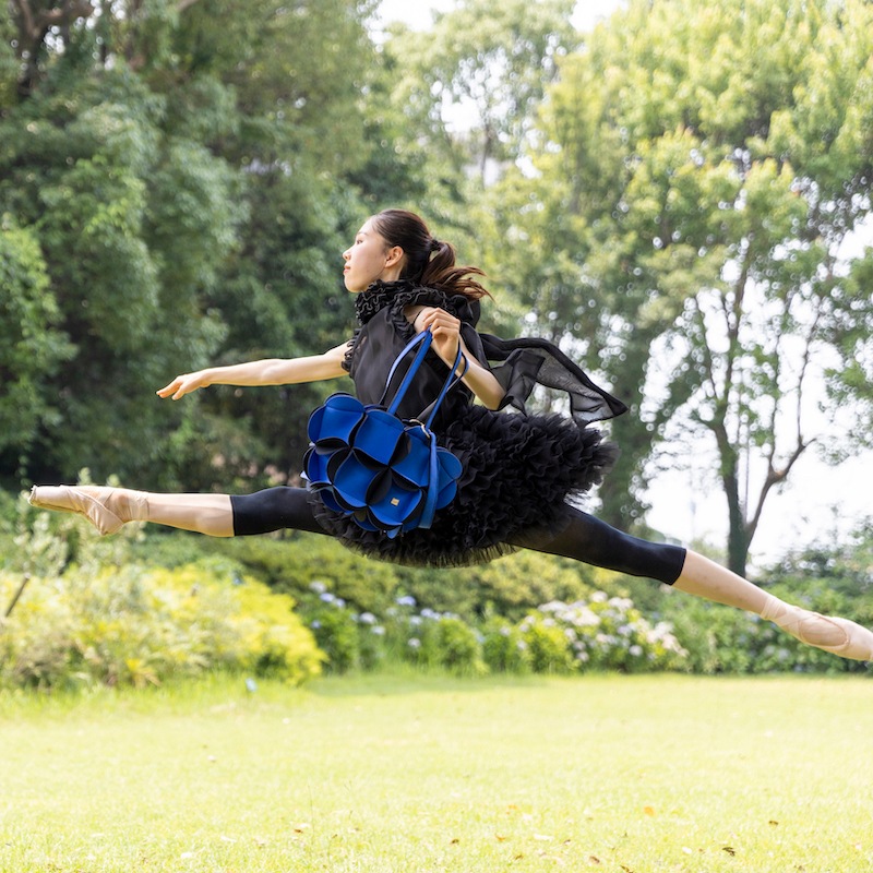 ڰͽۥͥץ륺 ڥ -ե2-SH991-(ͽ󥫥顼11ܤϤ )