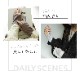 ���륯100�󥢡��५�С�