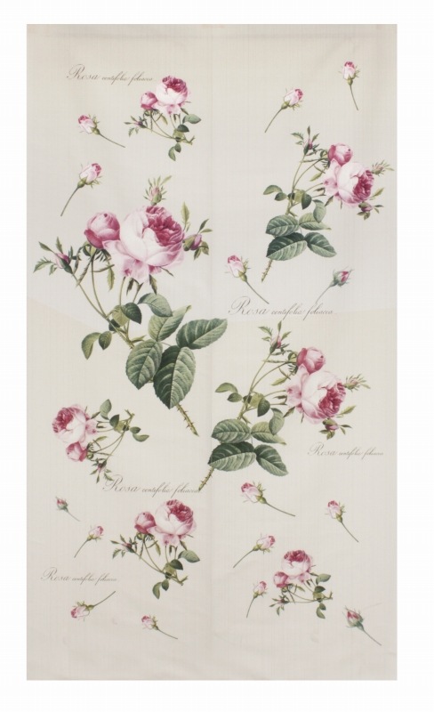 ɥƥڥȥ꡼Τ󡡡ڥƥեꥢ