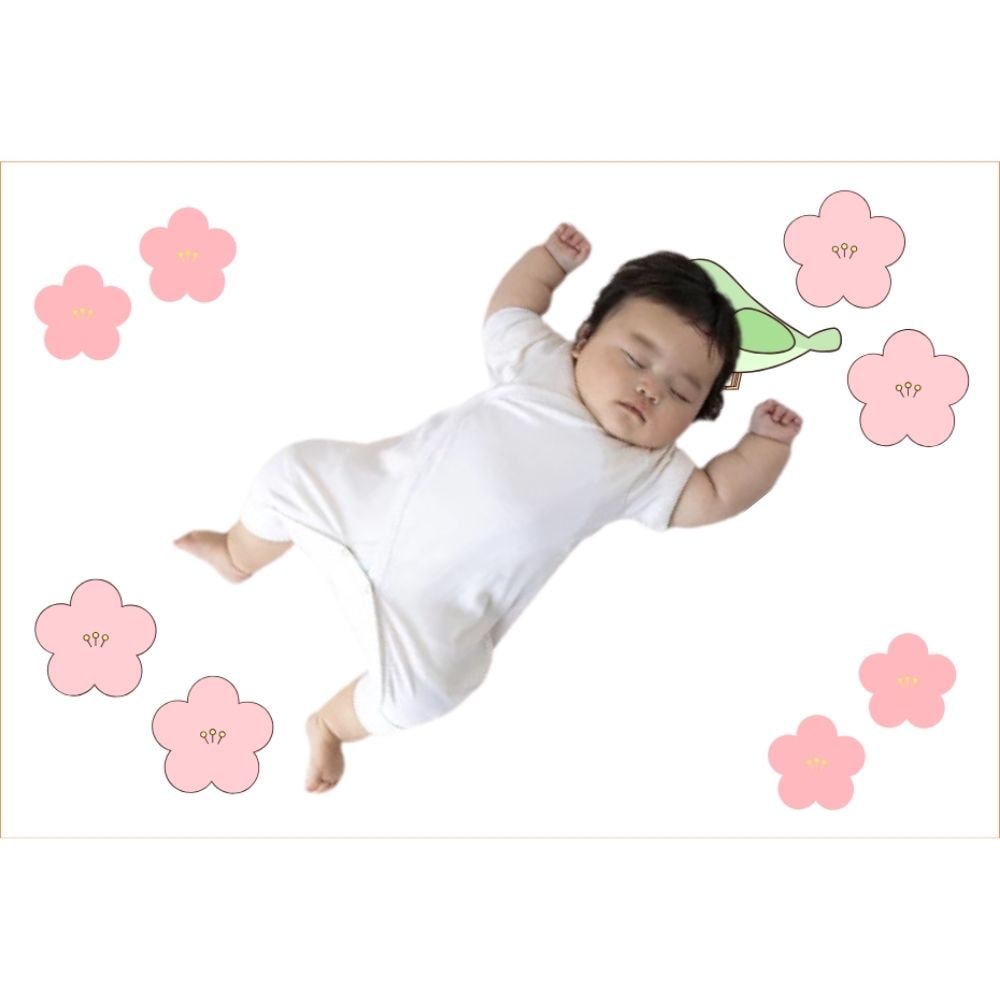 梅の花と鶯
