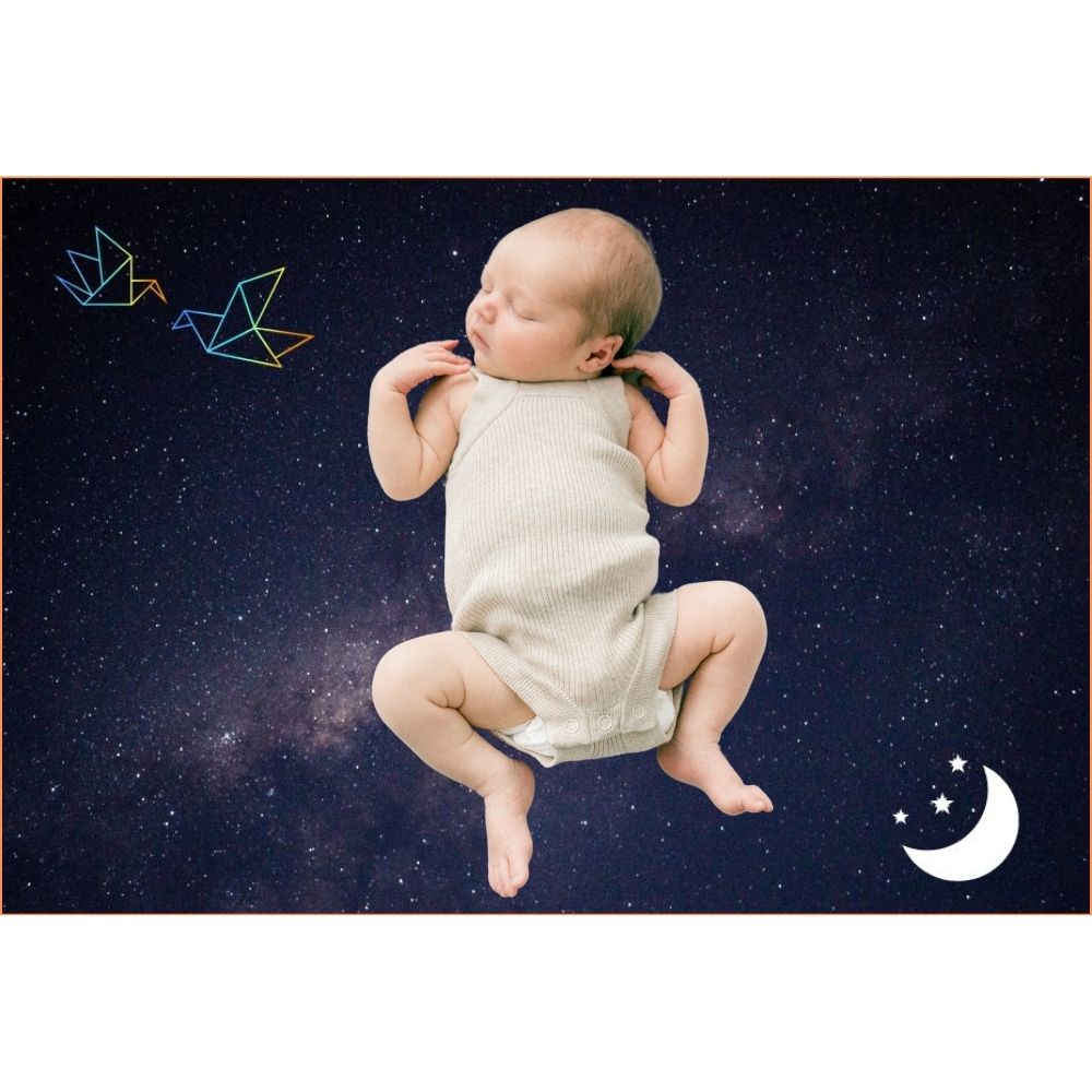 星空に月と鶴の星座