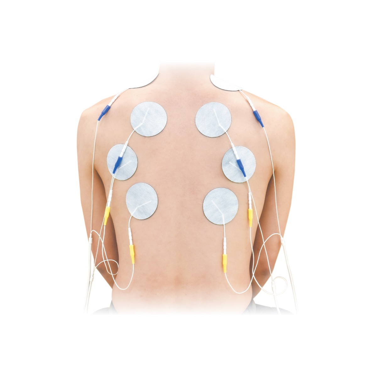 ʣ������EMS��rakutore LITE�ʥ饯�ȥ� �饤�ȡˡ�