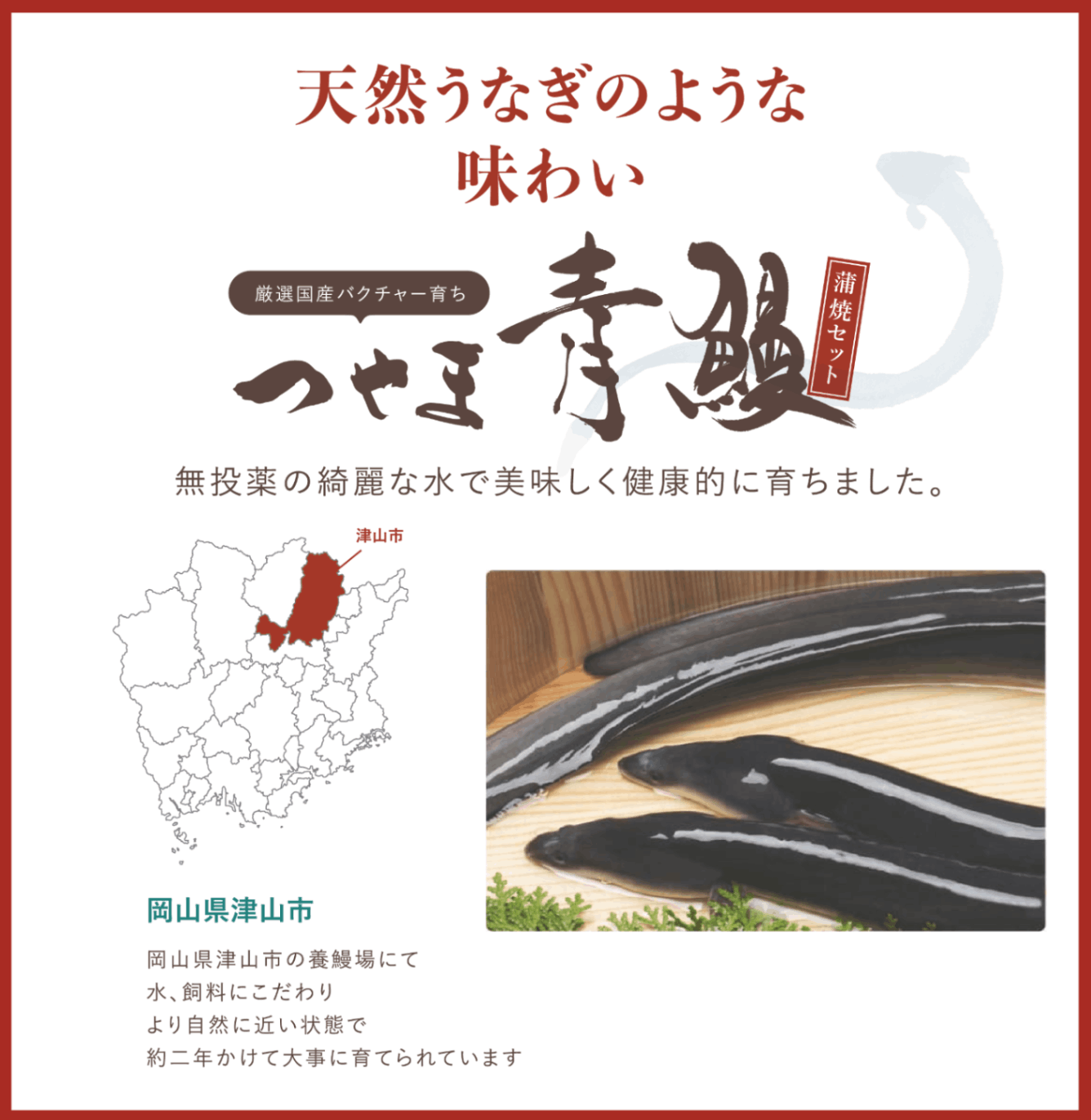 【数量限定販売】無投薬『つやま青うなぎ』蒲焼（1尾）