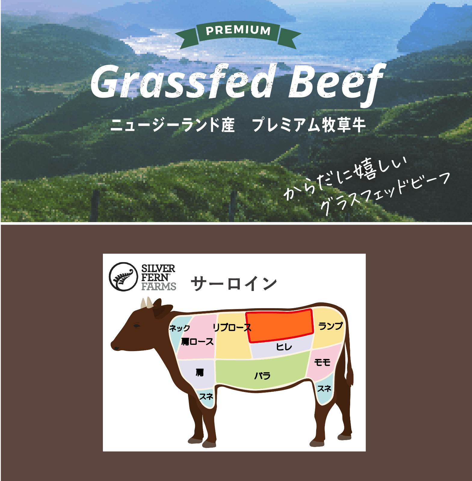 【今だけ500円OFF　BBQフェア2025】完全放牧 牧草牛　サーロイン　200g×5枚