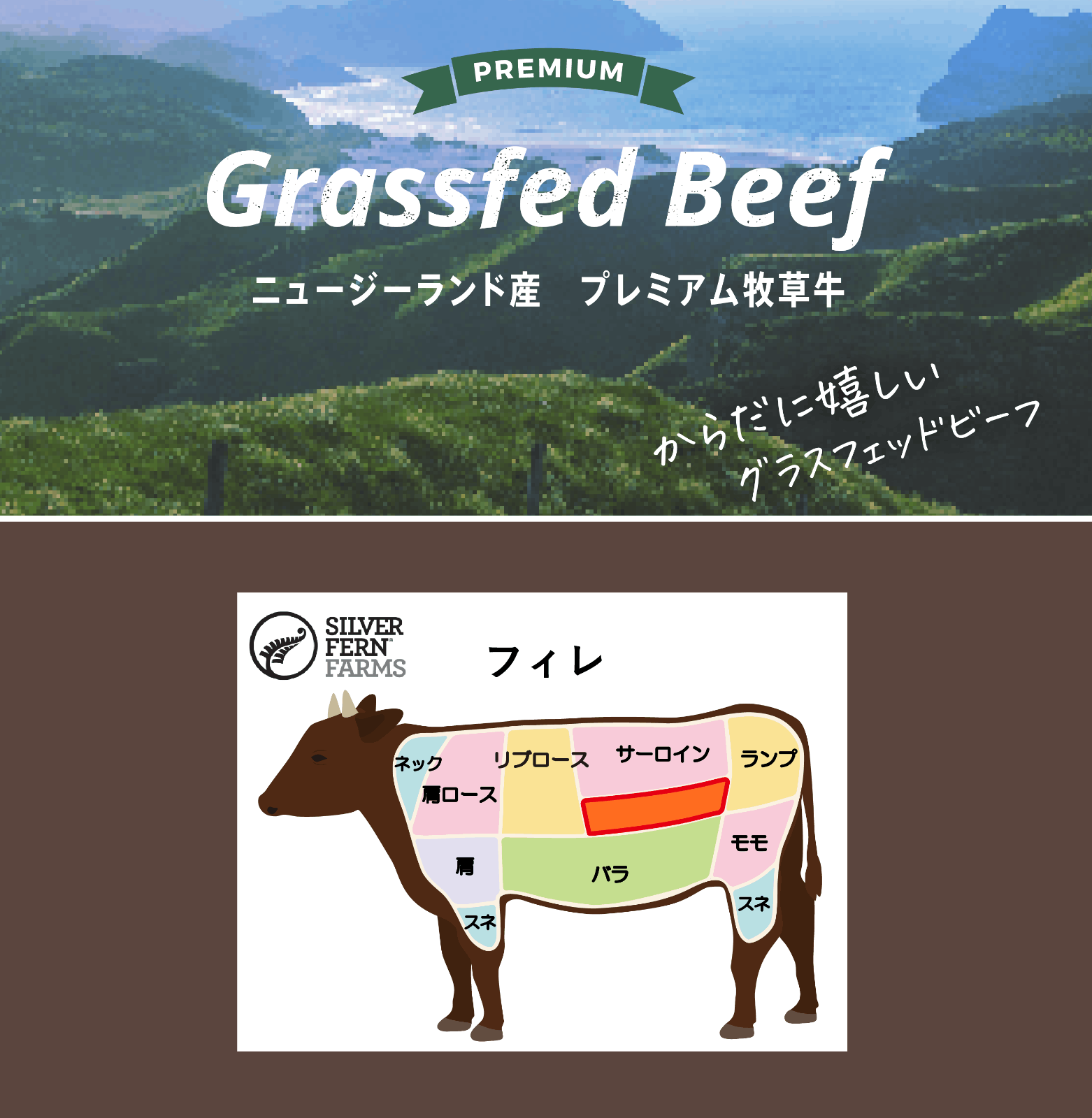【今だけ500円OFF　BBQフェア2025】完全放牧 牧草牛　フィレ　200g×4枚