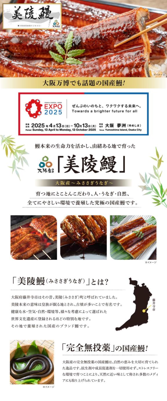 【大阪産】完全無投薬『美陵鰻』蒲焼（1尾）