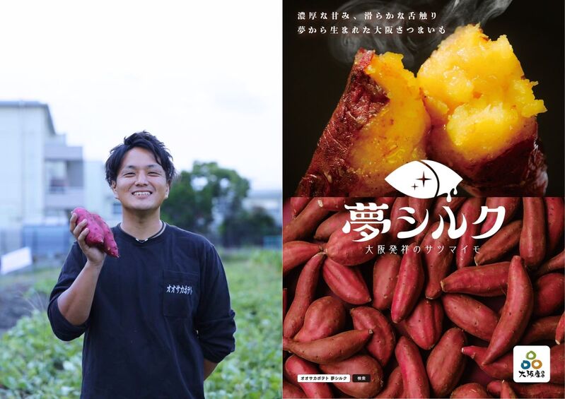 【冬季限定】夢シルクのスイートポテトシュー 6個入