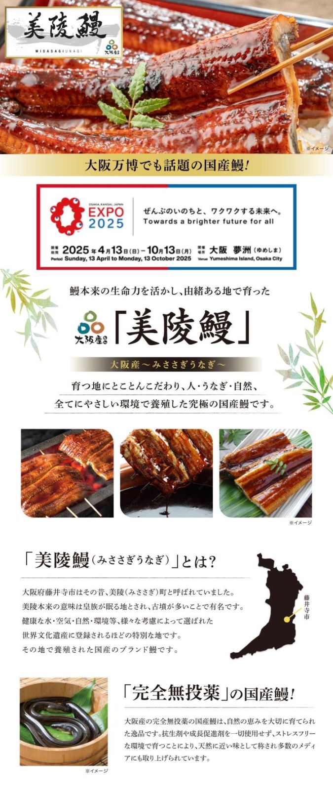 【お歳暮2025】完全無投薬『美陵鰻』蒲焼（3尾）