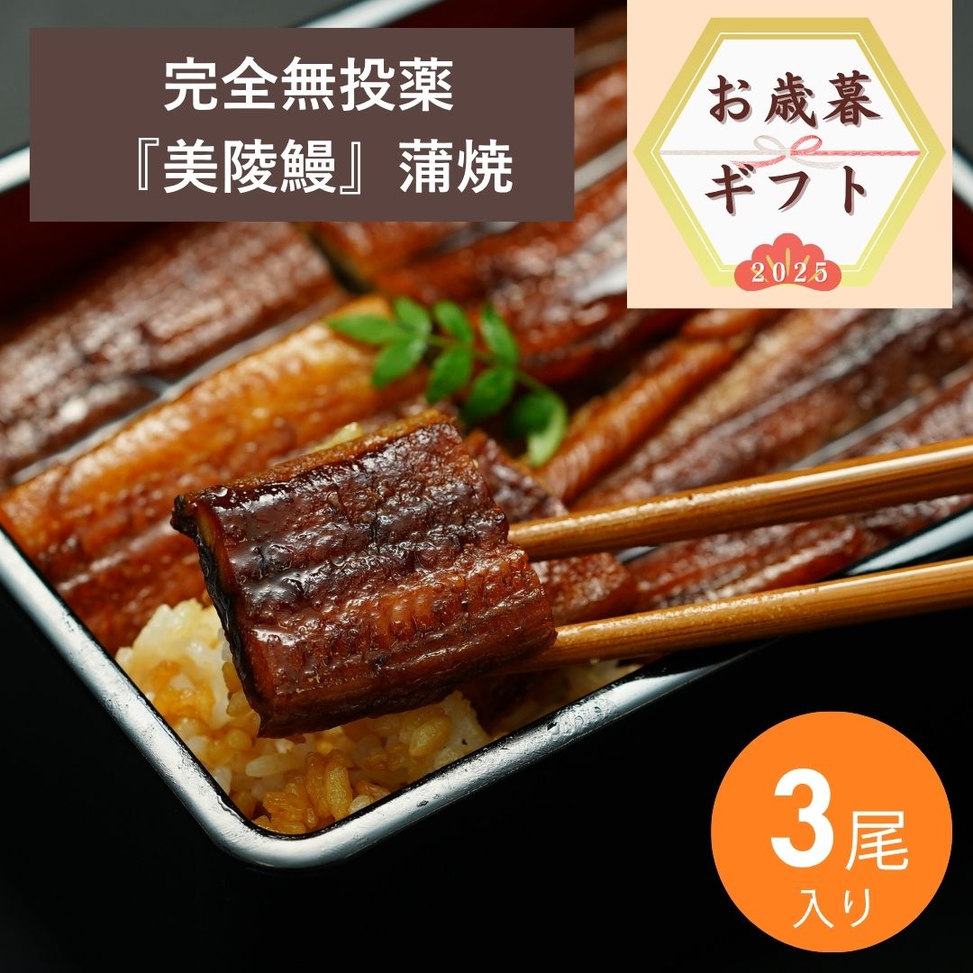 【お歳暮2025】完全無投薬『美陵鰻』蒲焼（3尾）