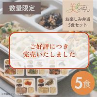 【数量限定】美ごはん＜お楽しみ弁当5食セット＞