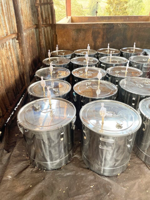 カーボニックマセレーション精製