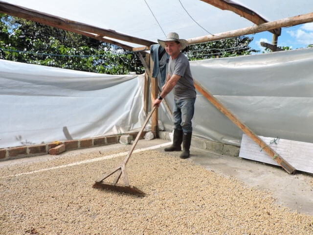 コロンビア　ロス・ピノス農園　ピンクブルボン 200g