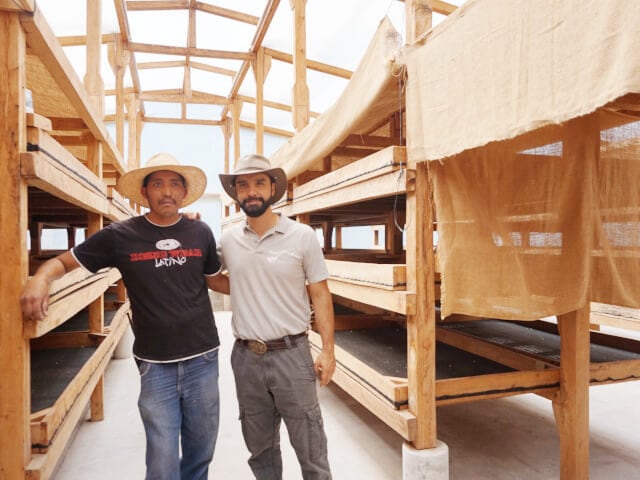 グアテマラ　エル・インヘルト農園　パタゴニア　パカマラ　ウォッシュド180g