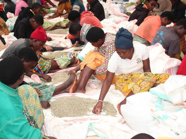 Burundi　Giver CWS Natural 200g