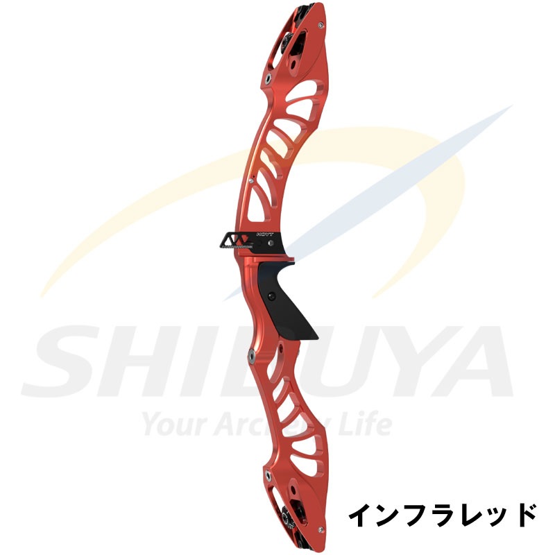 予約】HOYT グランプリ エクシード【納期：1.5～3か月】 | 予約