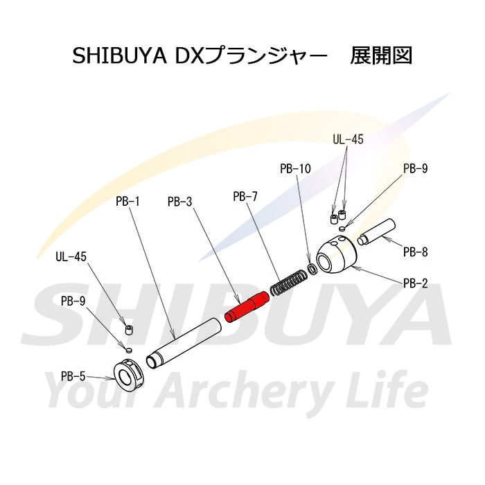 SHIBUYA ץ󥸥㡼å 