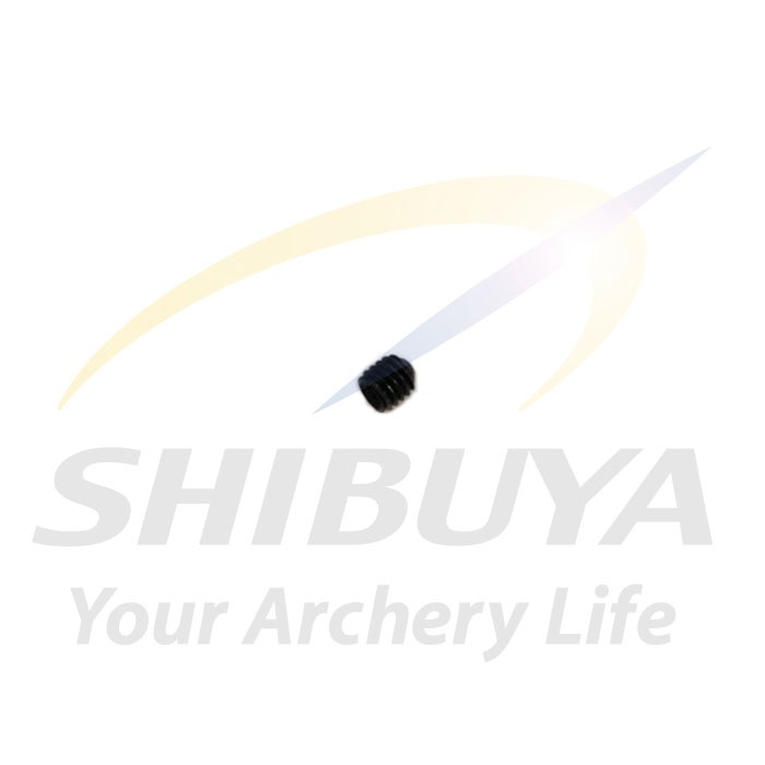 その他 y SHIBUYA SR-6 M3セットネジ黒 | パーツ,SHIBUYA製品 | | 渋谷
