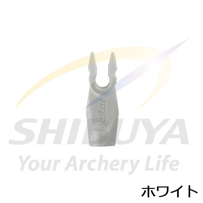 21_010009000023.jpg?1709085012