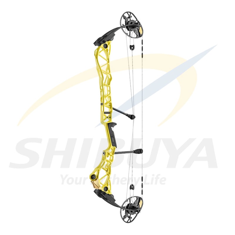 12_000000012342.jpg?1739161073