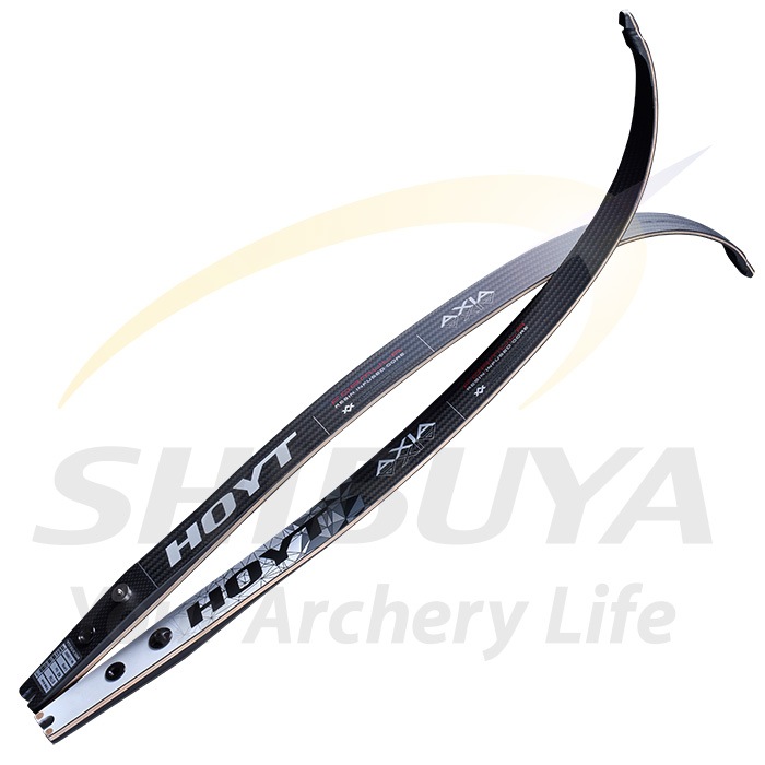 35%オフ】HOYT フォーミュラ AXIA ウッドコア【アウトレット特価 