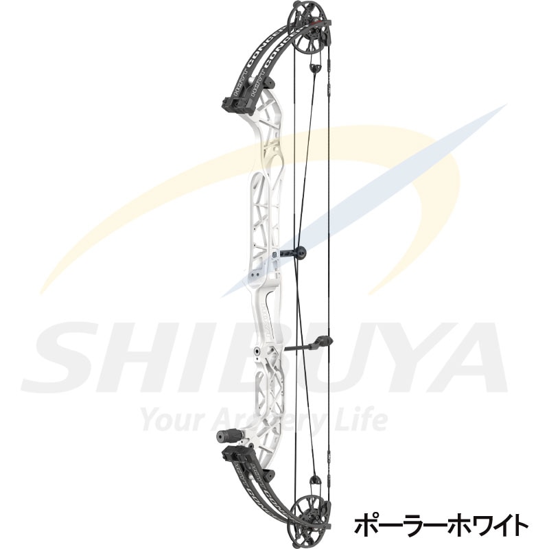 予約商品】HOYT コンセプトXTS40 セクター2.0カム CDMモジュール