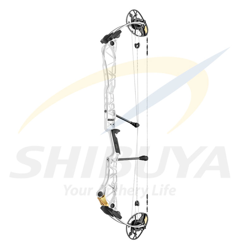 ミラージュほぼハーフコンプリート 2_000000010486.jpg?1739161042