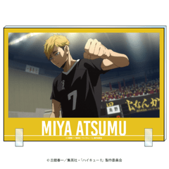 ���˥�֥ϥ����塼!!�ץ�����륢���ȥܡ��ɵ� ��