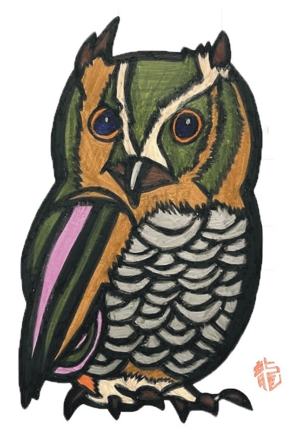 ����ζ�� �ݥ��ȥ����� 5�祻�åȡʥե��������ϡ�����󡦹������ե�ߥ󥴡�