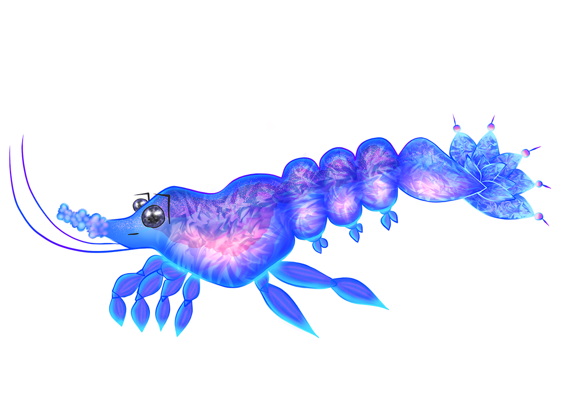 ザビコトート PETITE
