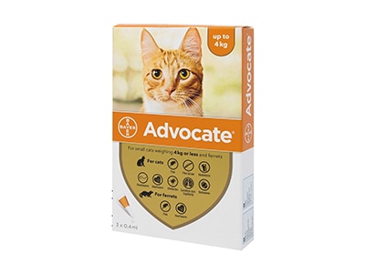 ���ɥܥ����� ǭ�� (�ν�4kg�ʲ�) 3����