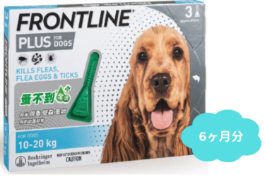 եȥ饤ץ饹 M | 淿 | 10kg-20kg | 6ԥڥå