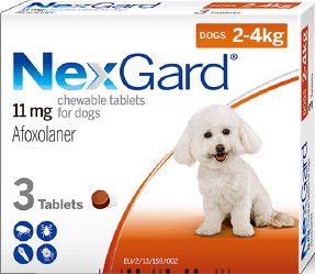 ネクスガード 11mg 超小型犬用 2 4kg 3錠入 ノミダニ