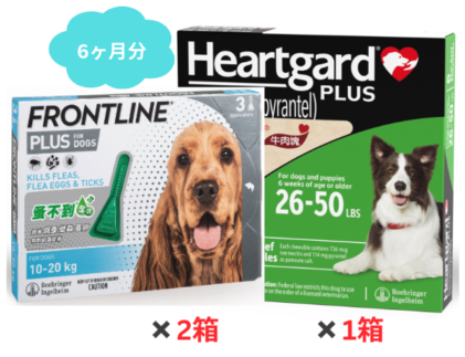 �淿���� | �ϡ��ȥ����ɥץ饹 M | �ե���ȥ饤��ץ饹 M | 6����ʬ���å�