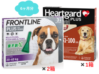 �緿���� | �ϡ��ȥ����ɥץ饹 L | 22.4kg-45.4kg | �ե���ȥ饤��ץ饹 L | 6����ʬ���å�