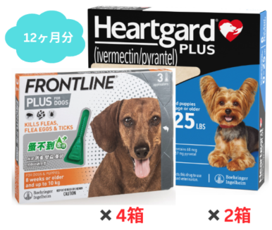  | ϡȥɥץ饹 | 11.5kg̤ | եȥ饤 S | 12ʬå