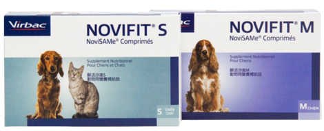 Υӥեå S | Хեå | ץ | ӥХå | ǭ