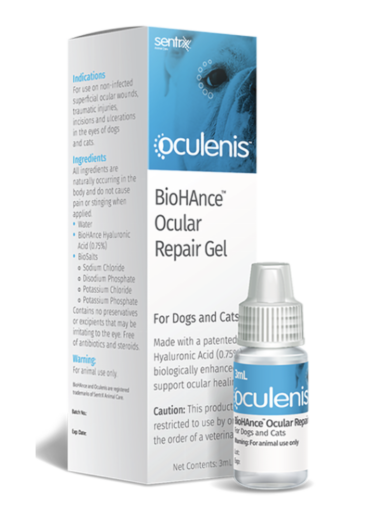 Oculenis | �͹��ޱ� | ������ | �ݼ� |�� | ǭ