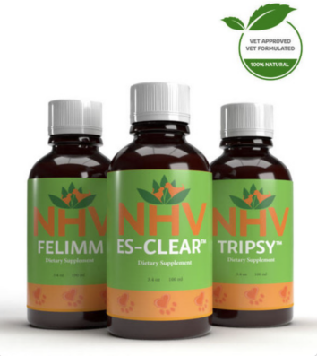 ���Ѽ� | ������ɥ��ݡ��� | �ե꡼�饸���� | ��¡ | ��� | ���� | NHV ���ץ�