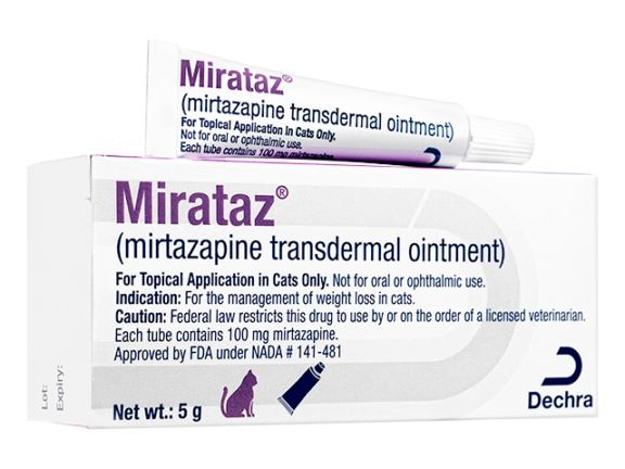 �ߥ饿����� | Mirataz | ǭ�� | 5g | 3��