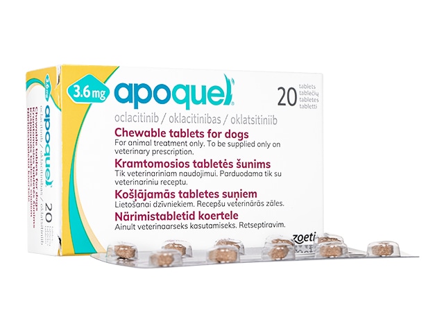 ���ݥ��� ���奢�֥��3.6mg����20��