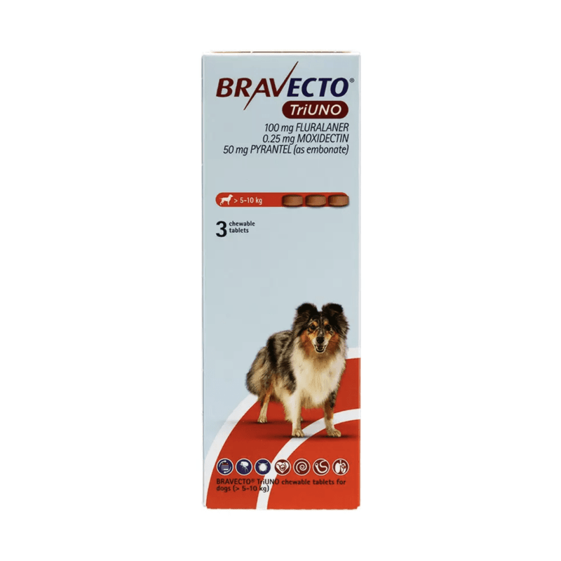 �֥�٥��ȥȥꥦ�� >5-10kg | 3��x1Ȣ | �Υ� | �ޥ��� | �ե���ꥢ
