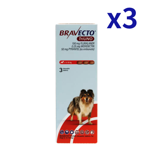 �֥�٥��ȥȥꥦ�� >5-10kg | 3��x3Ȣ | �Υ� | �ޥ��� | �ե���ꥢ