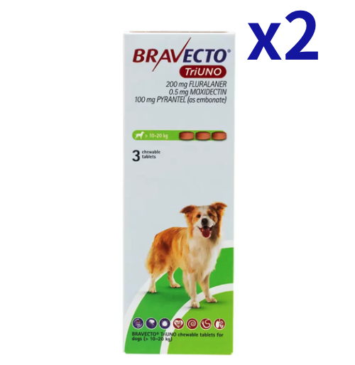 �֥�٥��ȥȥꥦ�� >10-20kg | 3��x2Ȣ | �Υ� | �ޥ��� | �ե���ꥢ