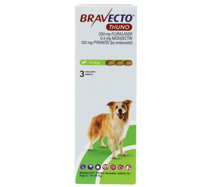 �֥�٥��ȥȥꥦ�� >10-20kg | 3��x2Ȣ | �Υ� | �ޥ��� | �ե���ꥢ
