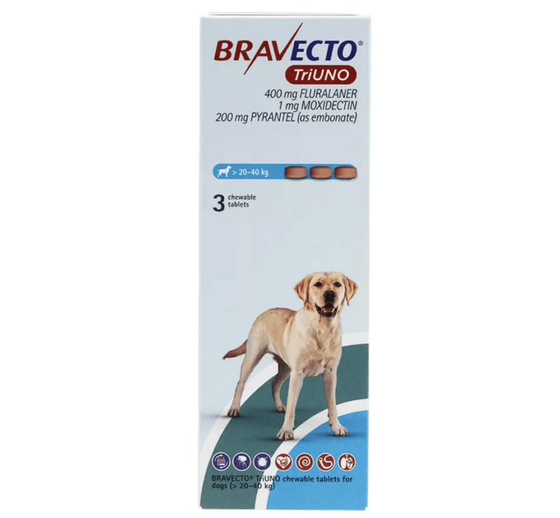 �֥�٥��ȥȥꥦ�� >20-40kg | 3��x1Ȣ | �Υ� | �ޥ��� | �ե���ꥢ
