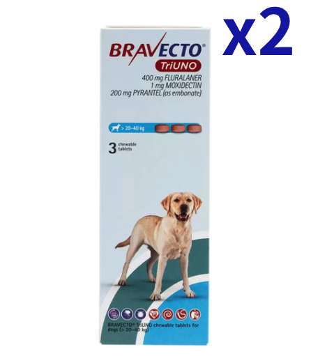 �֥�٥��ȥȥꥦ�� >20-40kg | 3��x2Ȣ | �Υ� | �ޥ��� | �ե���ꥢ