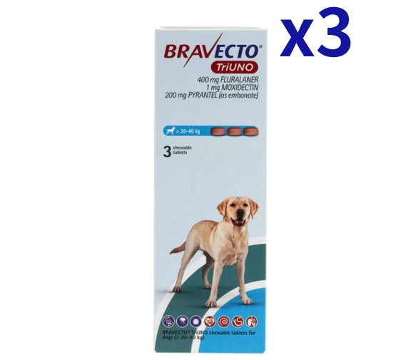 �֥�٥��ȥȥꥦ�� >20-40kg | 3��x3Ȣ | �Υ� | �ޥ��� | �ե���ꥢ