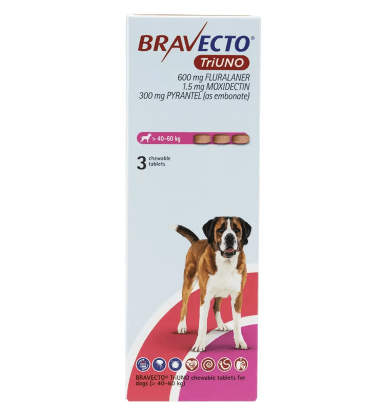 �֥�٥��ȥȥꥦ�� >40-60kg | 3��x1Ȣ | �Υ� | �ޥ��� | �ե���ꥢ