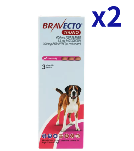 �֥�٥��ȥȥꥦ�� >40-60kg | 3��x2Ȣ | �Υ� | �ޥ��� | �ե���ꥢ